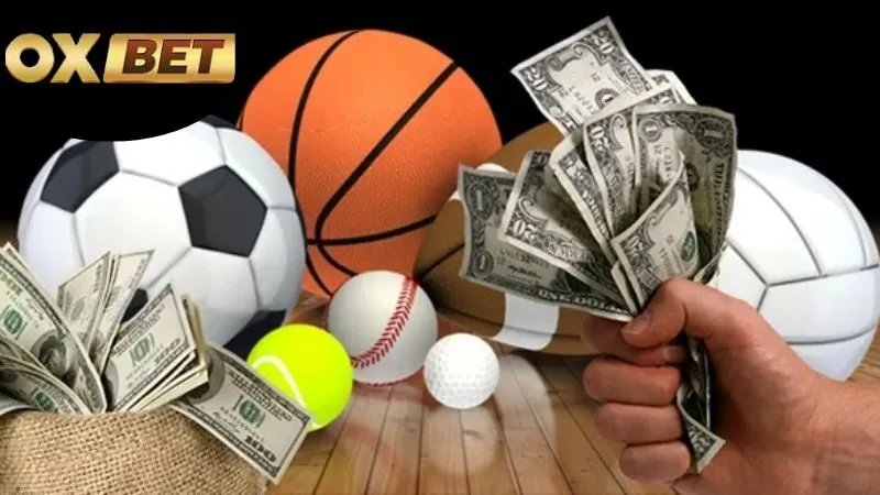 Chiến Lược Cá Cược Hiệu Quả Trên OXBET